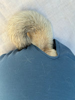PUGPODjAMAS® French Blue
