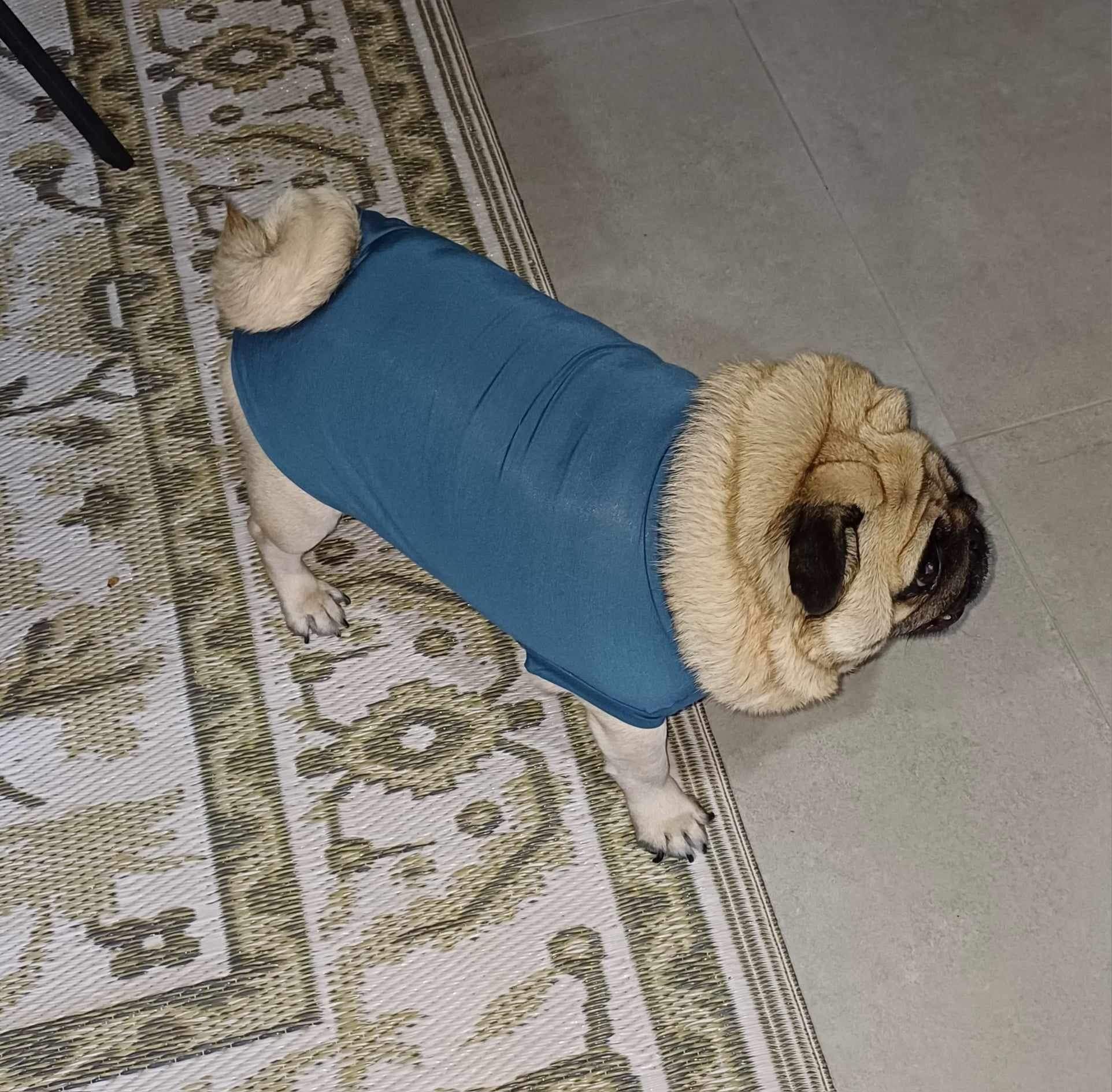 PUGPODjAMAS® Blue