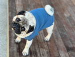 PUGPODjAMAS® French Blue